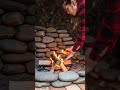 Turning a Fallen Tree into a Cozy Forest Home 🌲🏠 #shorts #shortvideo