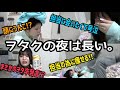 ヲタクのナイトルーティーンが1番おもろい。