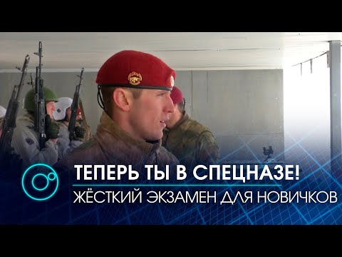 Бойцы отряда спецназа "Ермак" провели финальный экзамен для новичков подразделения | Телеканал ОТС