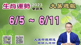 2023年 每週生肖運勢【 大易週報】➔ 陽曆 06/05~ 06/11｜戊午月｜大易命理頻道｜賴靖元 老師｜CC 字幕