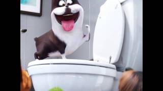 Huisdiergeheimen    Chug Chug Chug vlaams