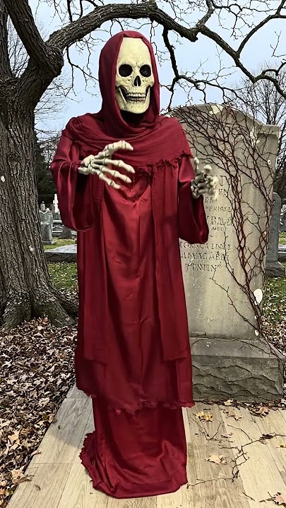 Halloween Is A Lifestyle #halloween