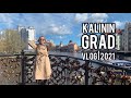 VLOG Калининград 2021