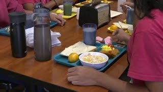 'No one would want their child in a place like this," Wasserman Schultz says of Homestead shelter