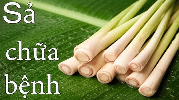 ✅10 Tác Dụng Kỳ Diệu Của Cây Sả 😍