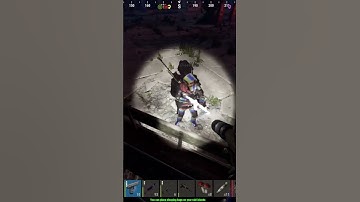 Excuse me... do you know what a dog is? rust funny moments