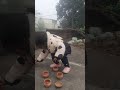 bachpan ka vo Ghar Ghar kya aapko yaad hain?