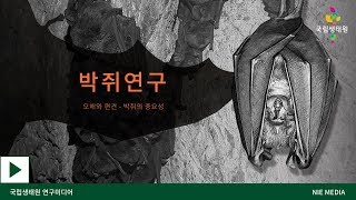 [국립생태원 NIE] 박쥐연구 - 오해와편견 / About bats – Misunderstandings and prejudices