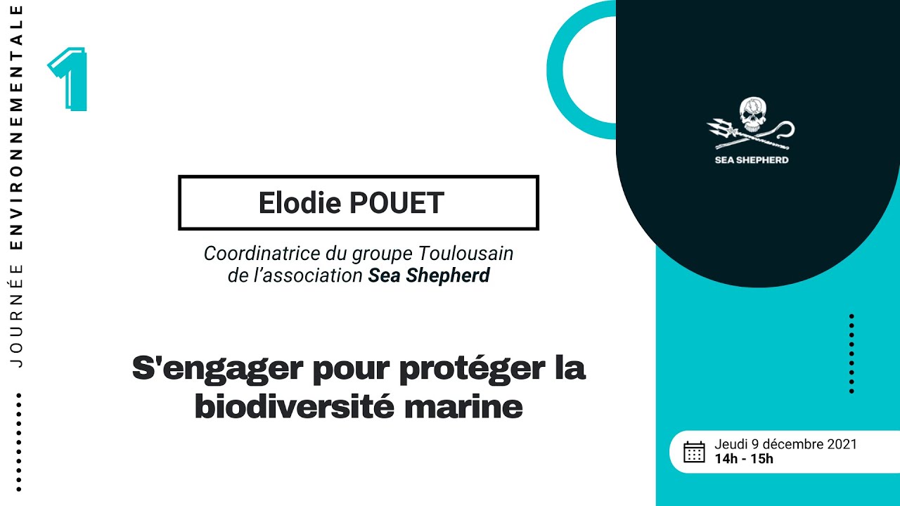 S’engager pour protéger la biodiversité marine - ANEDD 2021