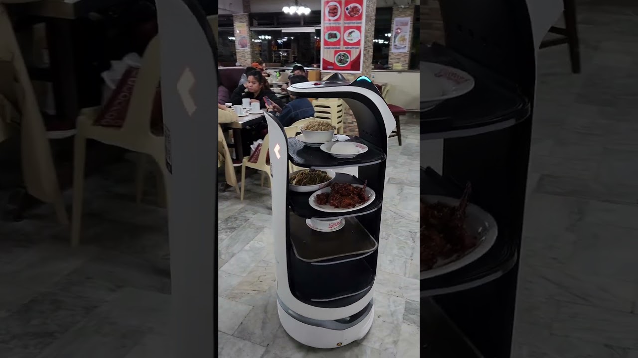 A cat-like robot waiter at your service | Otek, Good Taste. 