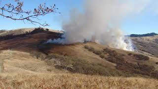 Time-lapse of the Wooden Gate Unit Prescribed Fire