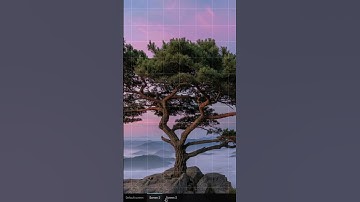 Multiple monitors? 🚫 Multiple screens ☝️ #dungeonmaster #dungeonsanddragons #dnd #tabletopgames