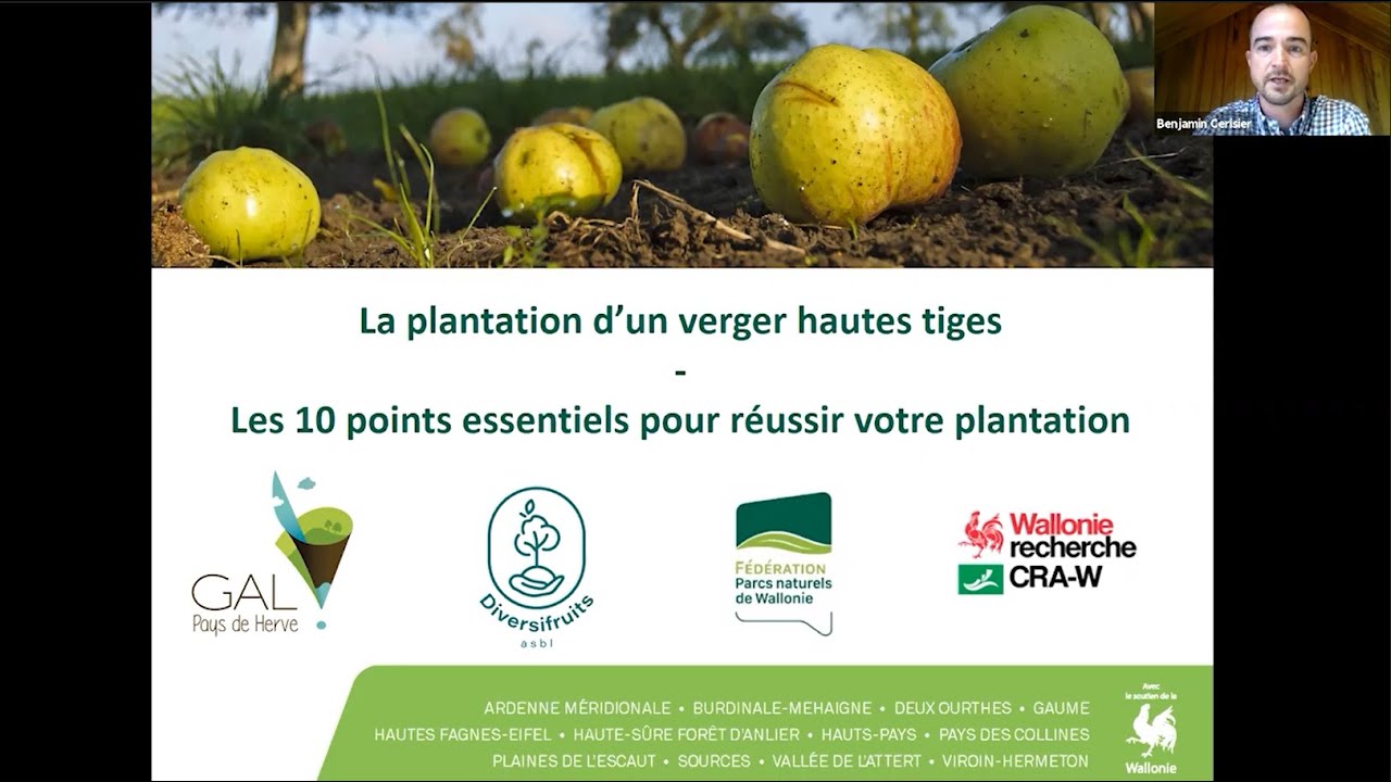 La plantation d'un verger hautes tiges, les 10 points essentiels pour réussir votre plantation !