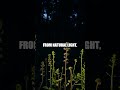 The Botanical Timekeeper