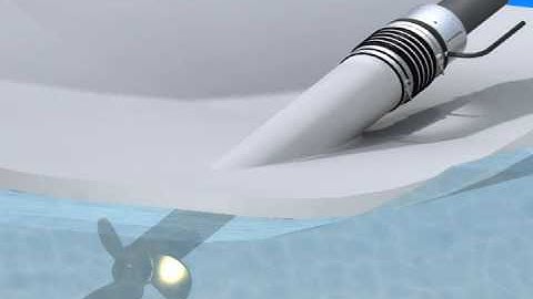 PSS Shaft Seal: In hull animation