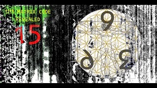 1111 Matrix Code | Video 15 | The Magnificence of 369!