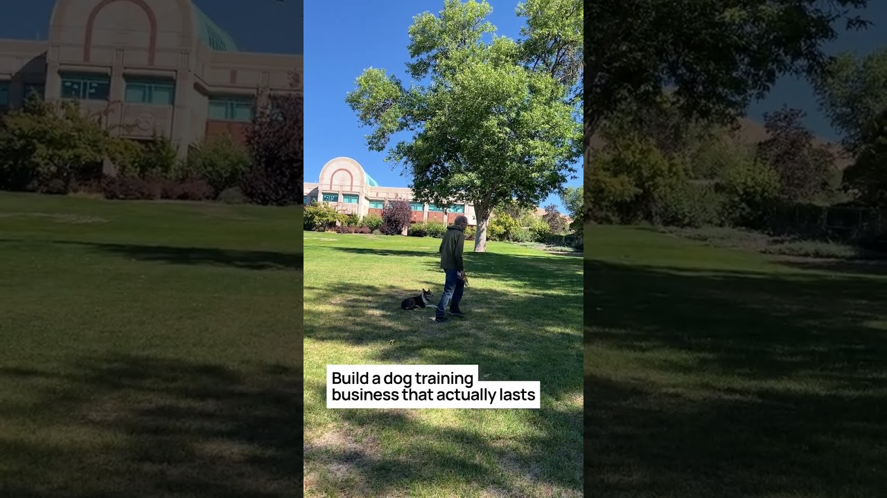 Launching a Lasting Dog Training Business