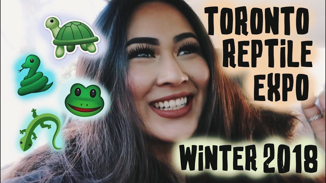 TORONTO REPTILE EXPO 2018 🐢🐍🦎🐸 - YouTube