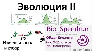 21. Эволюция часть II (Speedrun общая биология 9-11 класс, ЕГЭ, ОГЭ 2022)