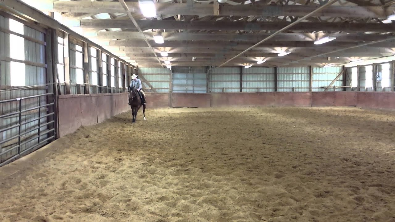 Lil'boy in Traning with Tim Boyer (Cantrall, IL)