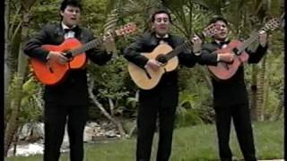 Video thumbnail of "Trio los Romanticos Este secreto"
