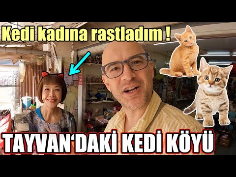 Bu Köyün Sahibi Kediler🐈İnsanlar Kedi Gibi Giyiniyor ❗️DÜNYADA TEK🇹🇼