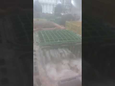 الشركة الوطنية للدواجن محمد سباعنة يزيد ابو فاروق