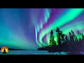 🔴 Relaxing Sleep Music 24/7, Healing Music, Meditation Music, Sleeping Music, Study Music, Sleep