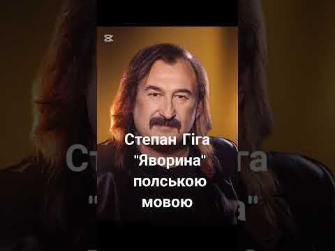 Степан Гіга- Яворина,На польські Мові 