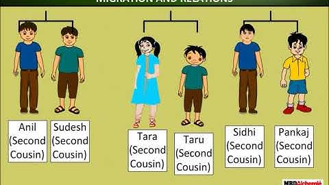 No Place for Us? Migration | EVS | Class 5
