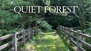 Quiet Forest Walk in Rural Japan | Aya Firefly Forest, Japan