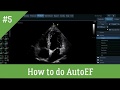 Ge vivid autoef demo