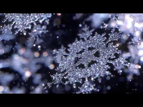 Snowflake Photographer