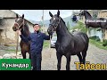 качок ТАЙ тайсон 🐎Зынк КУНАНДАР ЭКӨӨ ЧЫКТЫ НООКАТТА