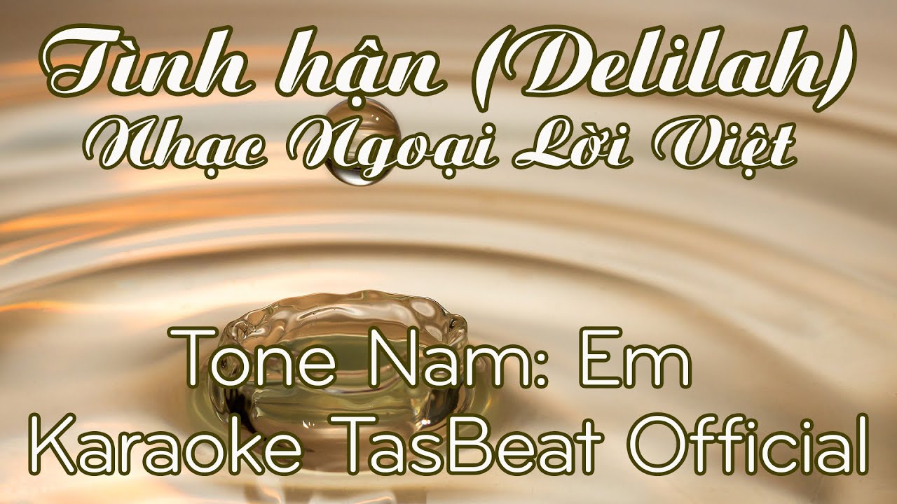 Karaoke Tình Hận - Tone Nam | TAS BEAT