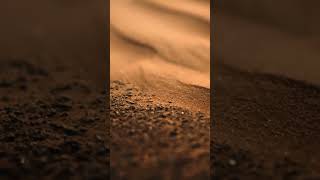 UAE: Innovation and Technology in the UAE Space Exploration