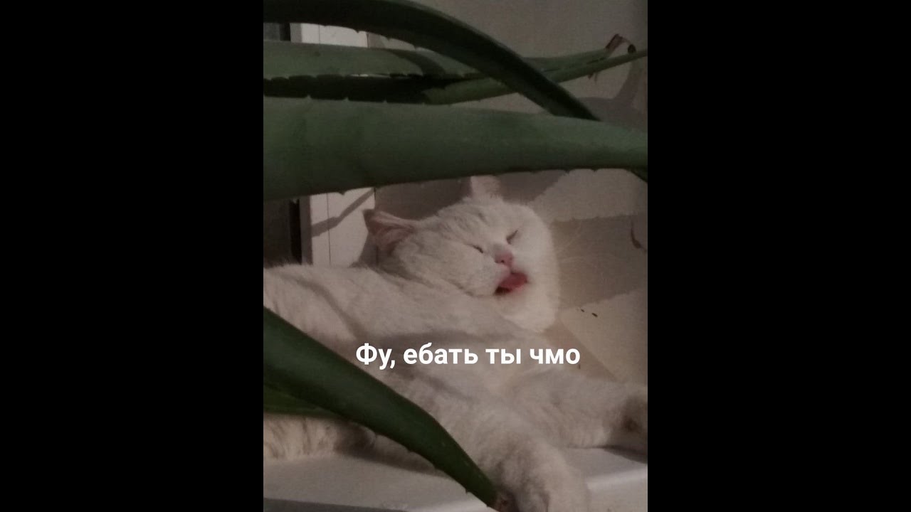 Разлили пиво в машине