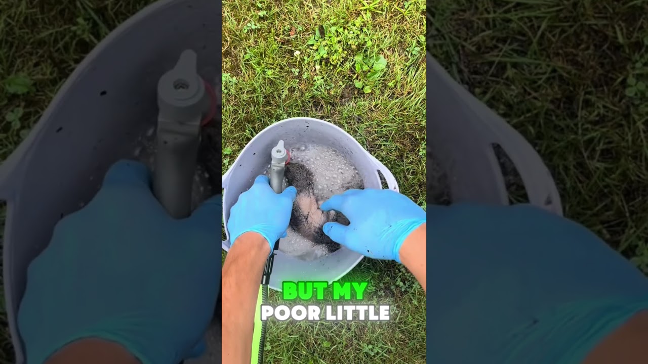 Summer Camp Lost & Found: Restoring My Muddy Puppy Toy