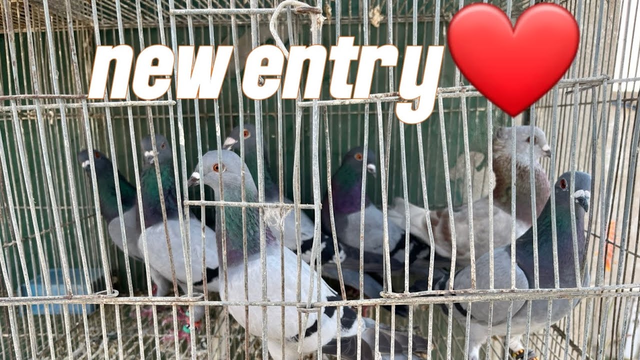 New entry ho gae dosto😂