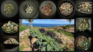 Un opus de recettes consacrées aux choux kale en taboulés 