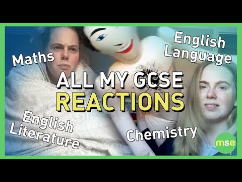 so-funny!-all-my-gcse-exam-reactions-2019---abi-price-take-a-bow!