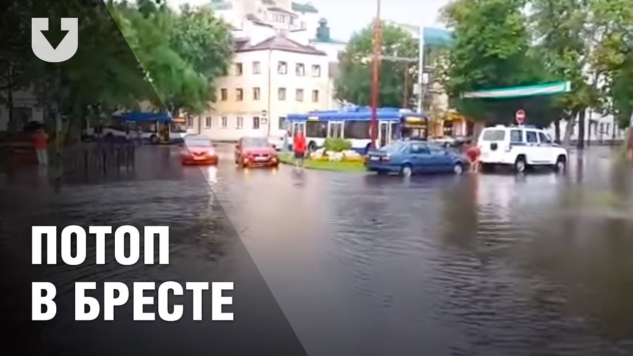 Вольво клуб брест