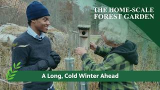 Episode 8 - A Long, Cold Winter Ahead | The Home-Scale Forest Garden Harsh Winter In The Forest Garden
