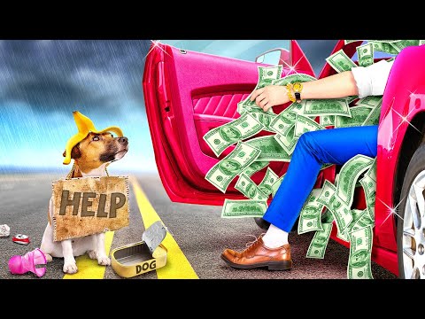 Rich Guy Saved a Poor Dog From the TRASH CAN! *Coolest DIY and Gadgets for Pets*