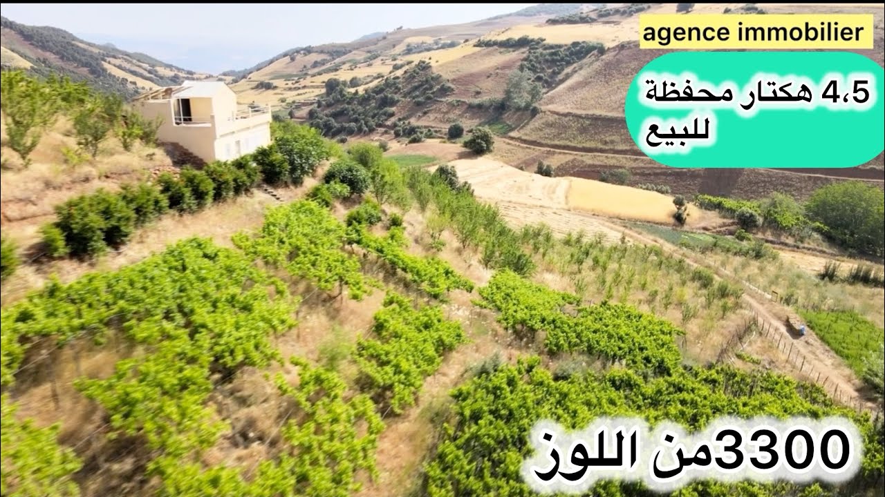 ارض فلاحية محفظة للبيع 4،5 هكتار +3300 من شجر اللوز ومنزل الماء والكهرباء تمن البيع 110 مليون