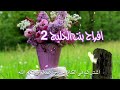 دليـنـي افراح بنت الخليج ٢الهام احمد#زفات_عروس #اشتراك_بالقناة #افراح #دعم