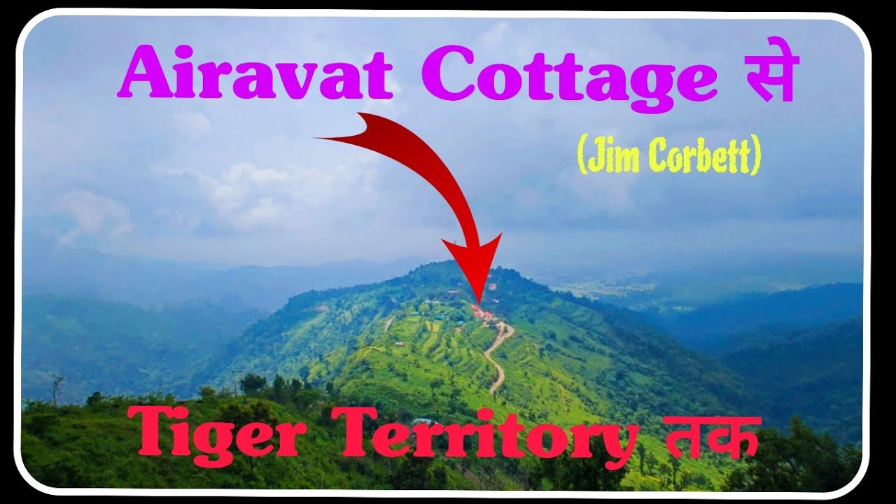 Trekking in Tiger Territory || Jim Corbett National Park || The Airavat Cottage