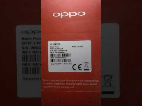 ٢٩ ديسمبر ٢٠٢٠