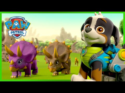 ¡La Patrulla de Cachorros salva a los dinosaurios y mucho más! - Compilación de PAW Patrol Español