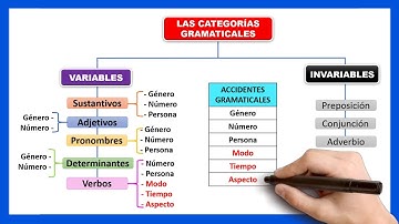 🟡¿Cuáles son las categorías gramaticales? | Palabras variables e invariables